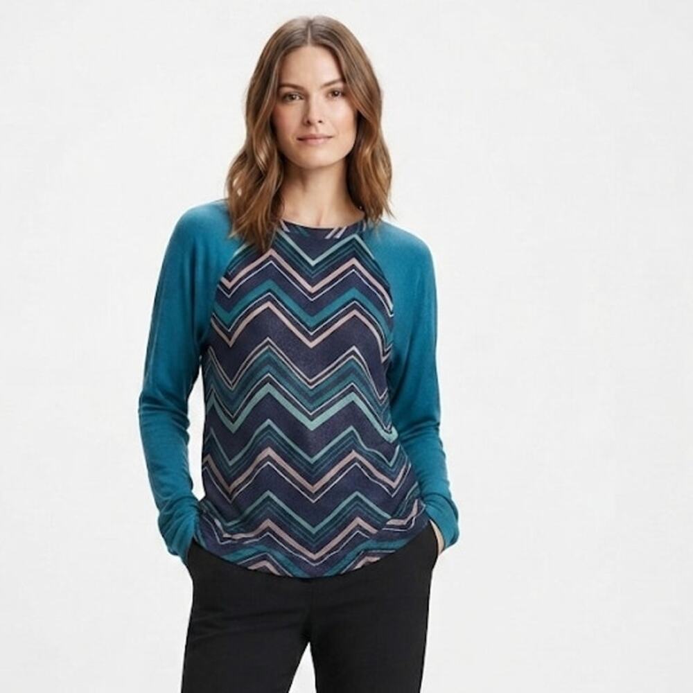 Signature Studio Long Sleeve Reglan Top Chevron Fall Winter Plus Size 1X